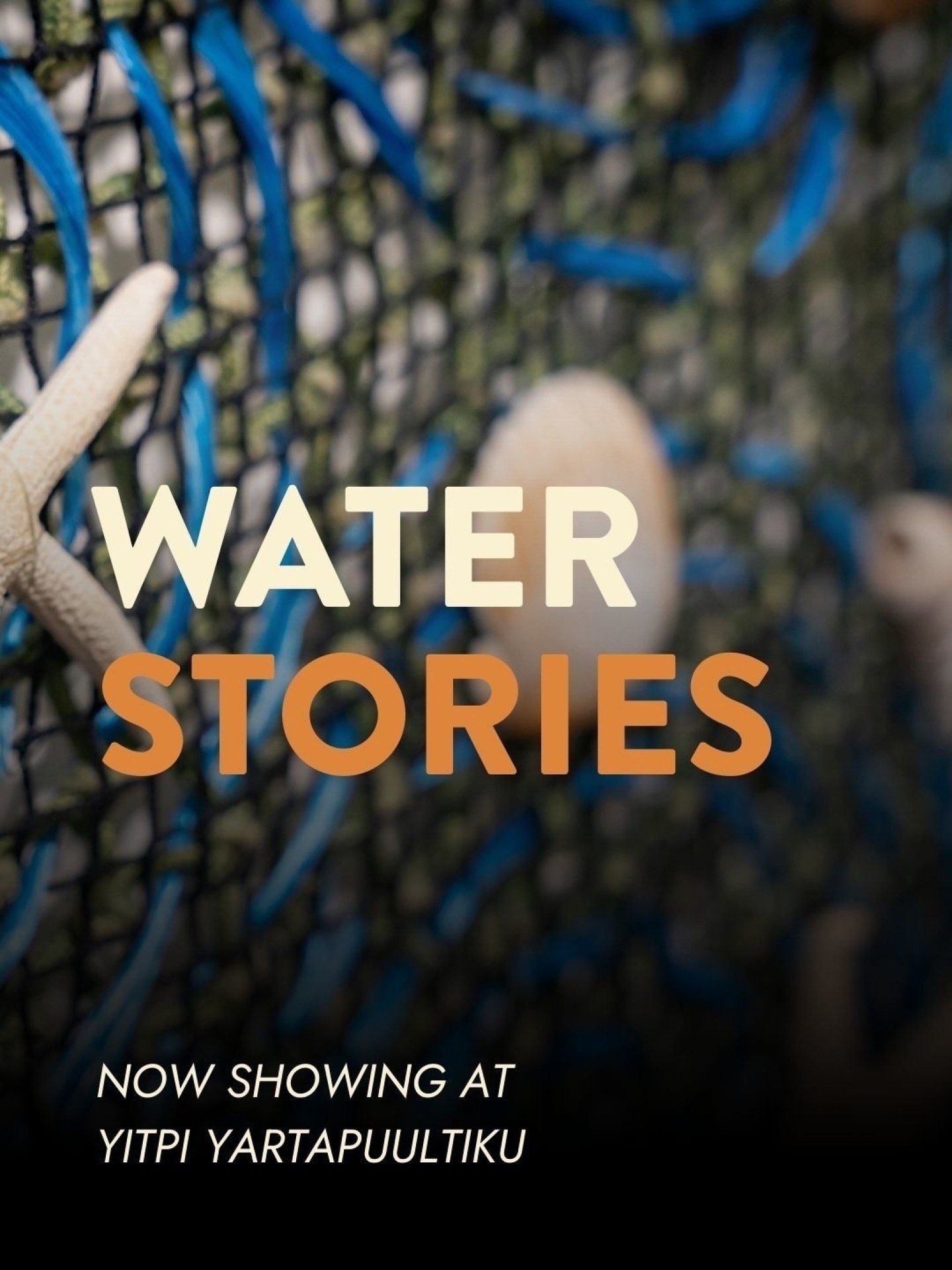 EXHIBITION: Water Stories at Yitpi Yartapuultiku

Water Stories highlights the interconnection between people and the environment, reminding us that water is not just a resource, but a living force that connects and sustains us all.

View works by in