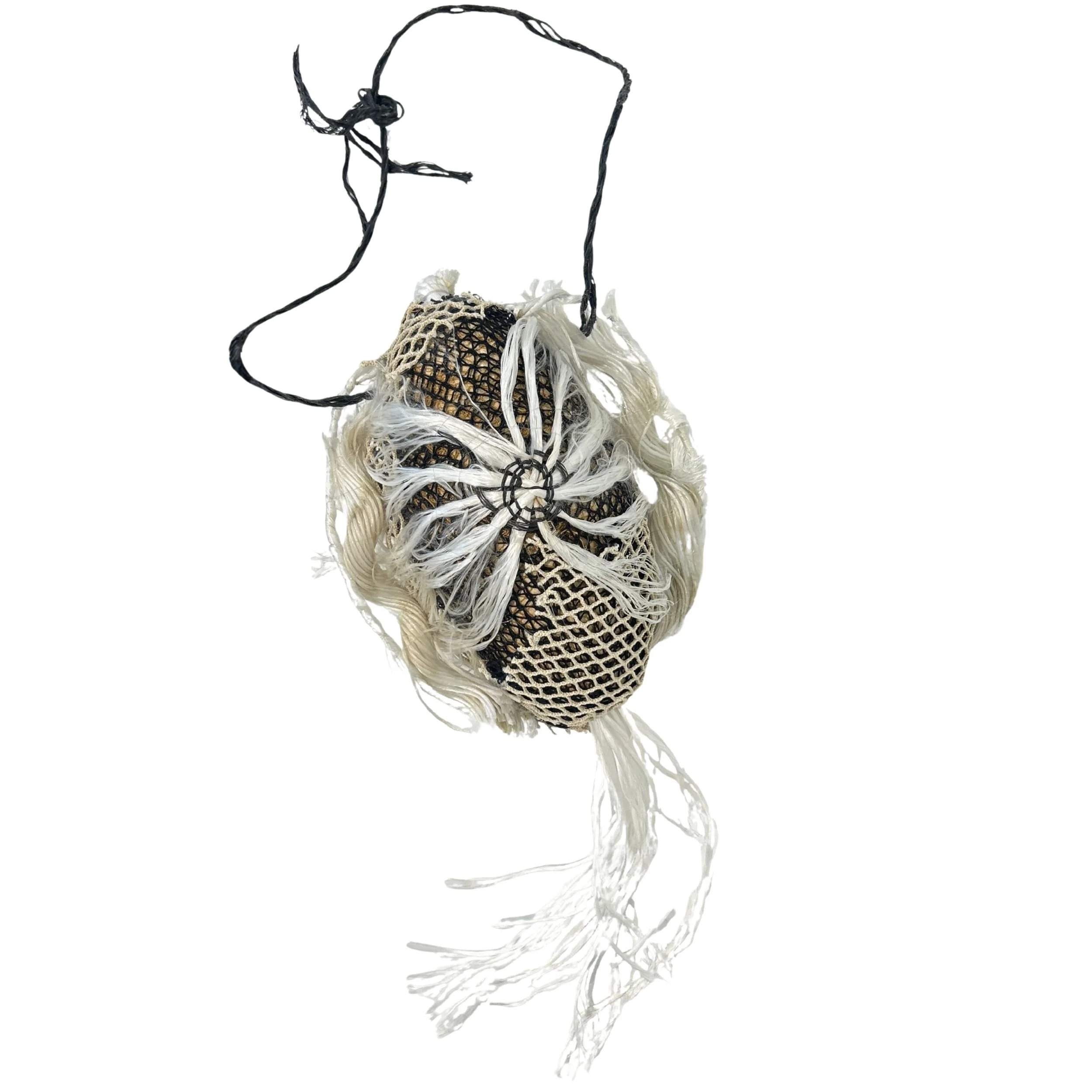 Collette Gray | Squid   (25-465)