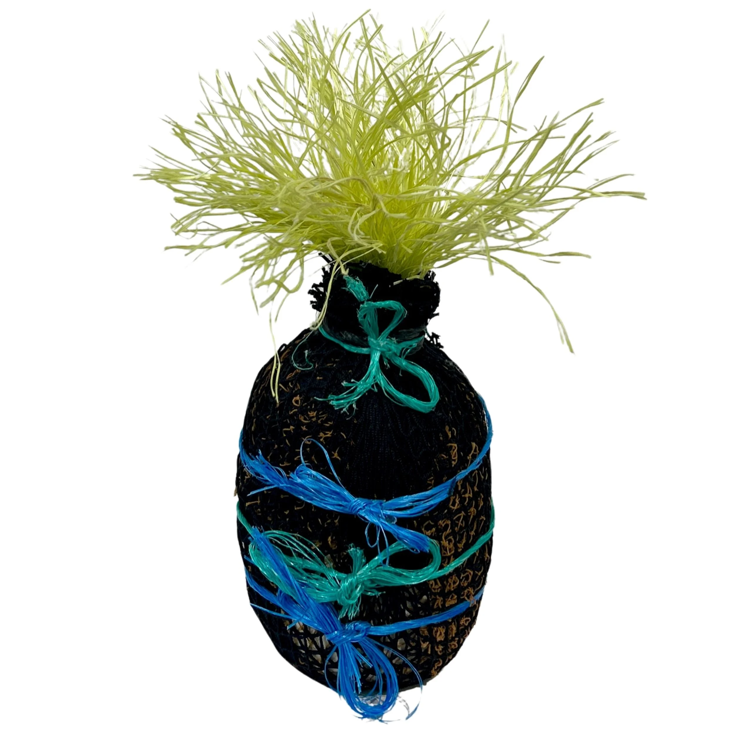 Collette Gray | Blood Sucker   (25-466)