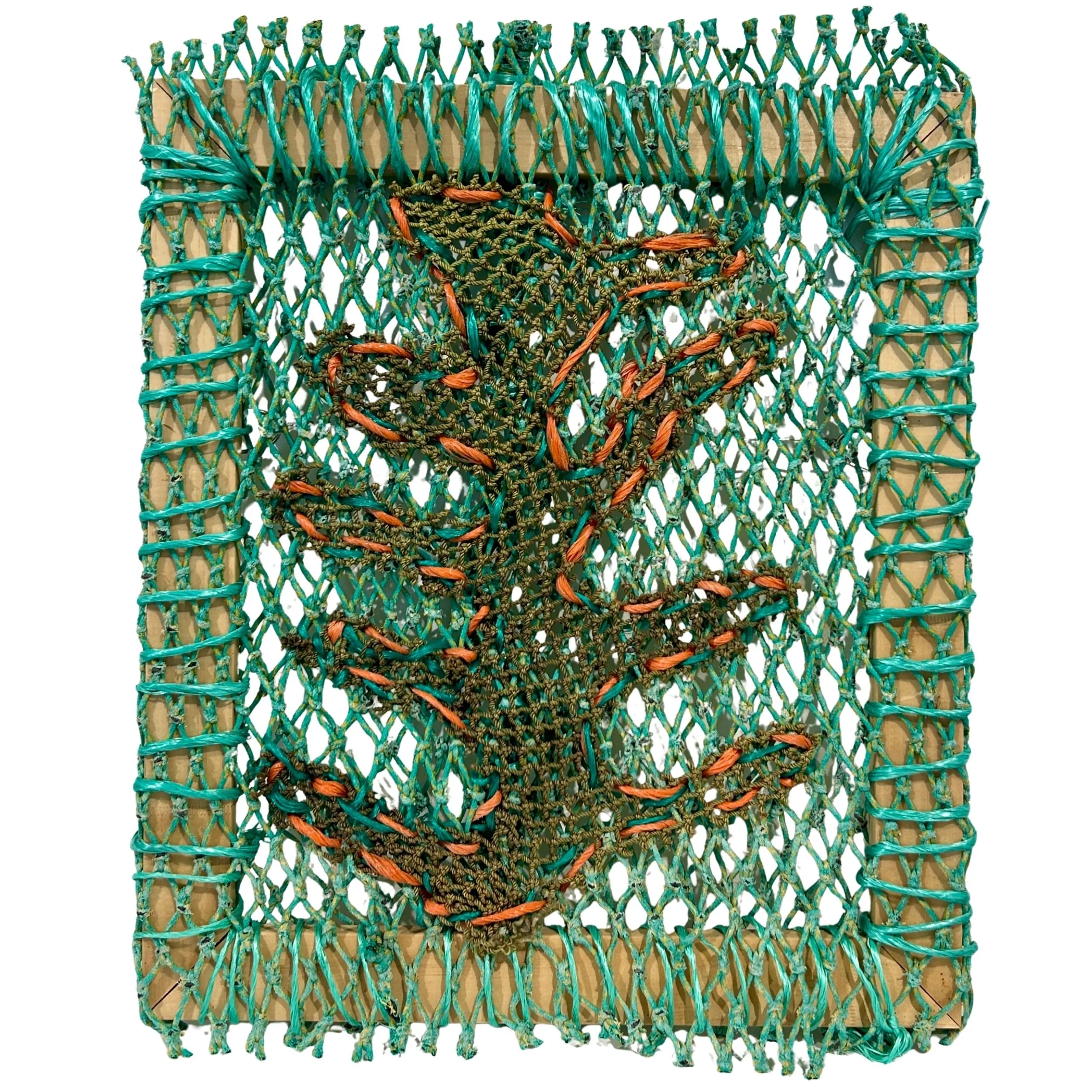 Collette Gray | Weed Under Water (25-561)