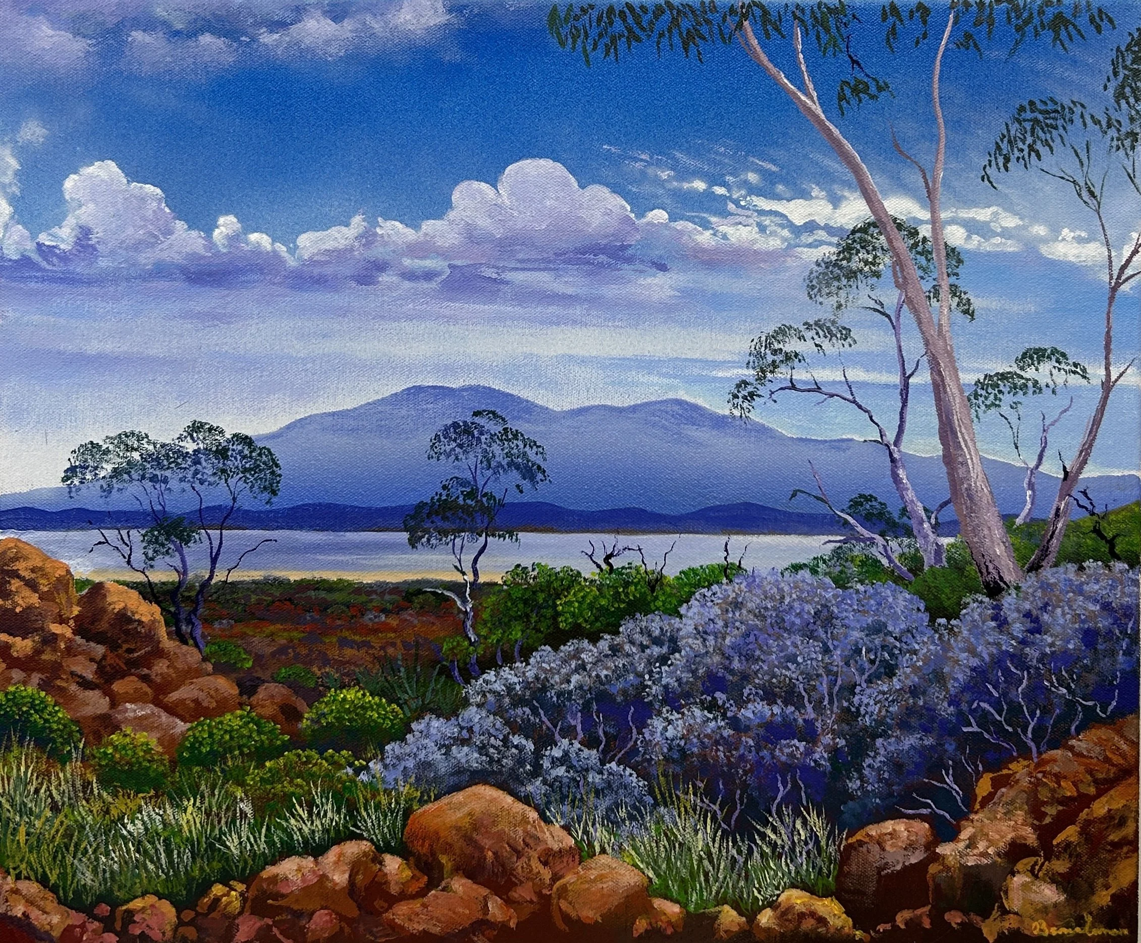 Beaver Lennon | Gawler Ranges (25-547)