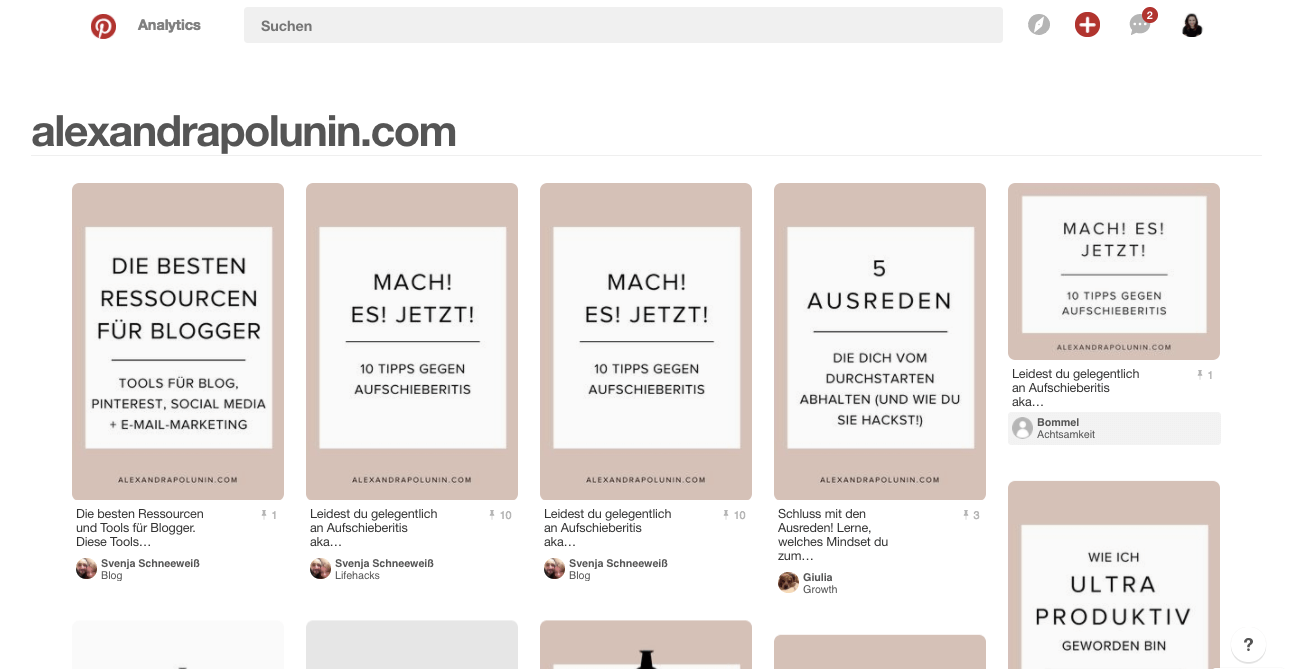 Pinterest Hacks – Wer pinnt von meiner Website.png