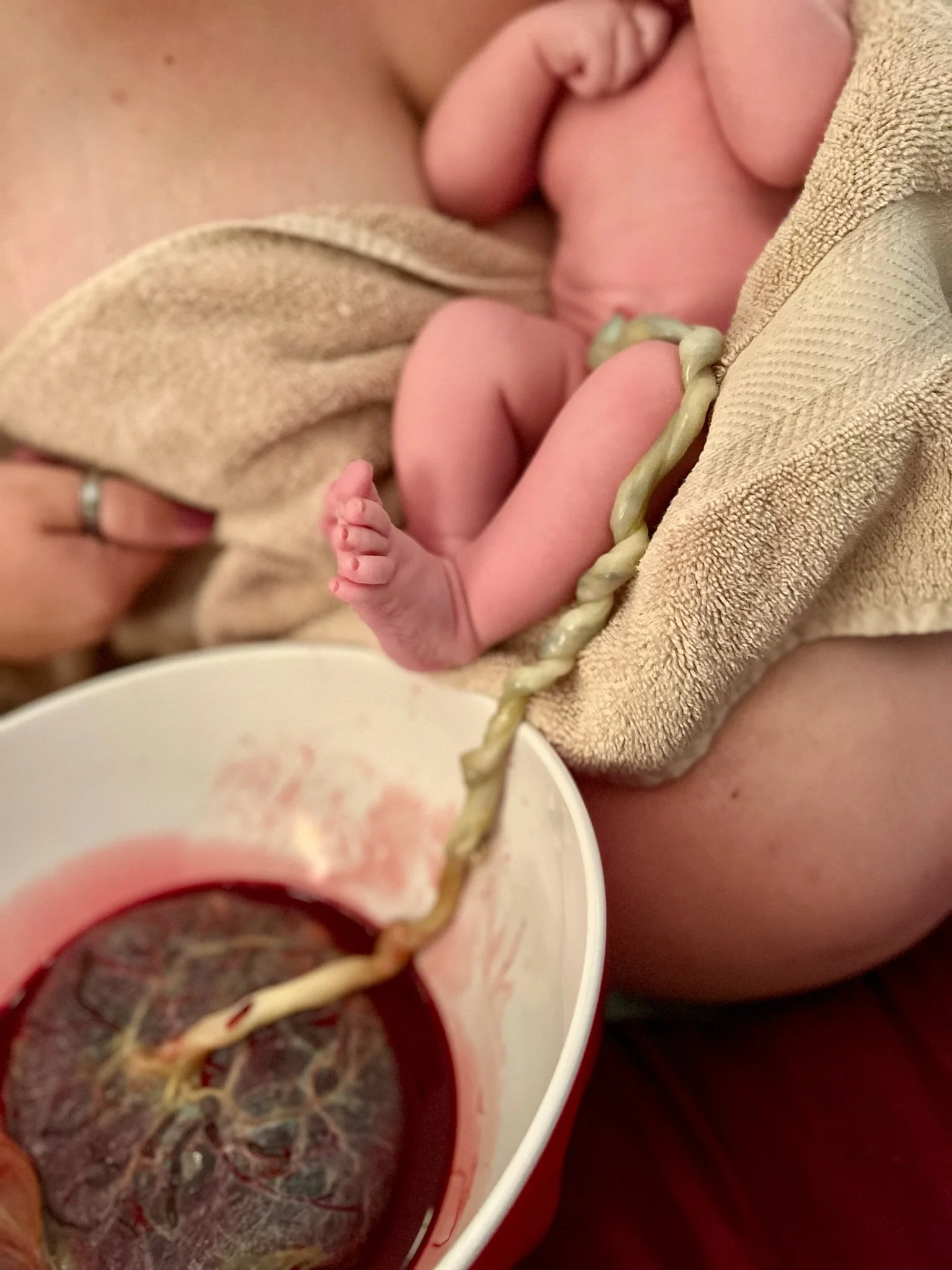 SWFL Personal Birth Assistant | Home Birth Services 