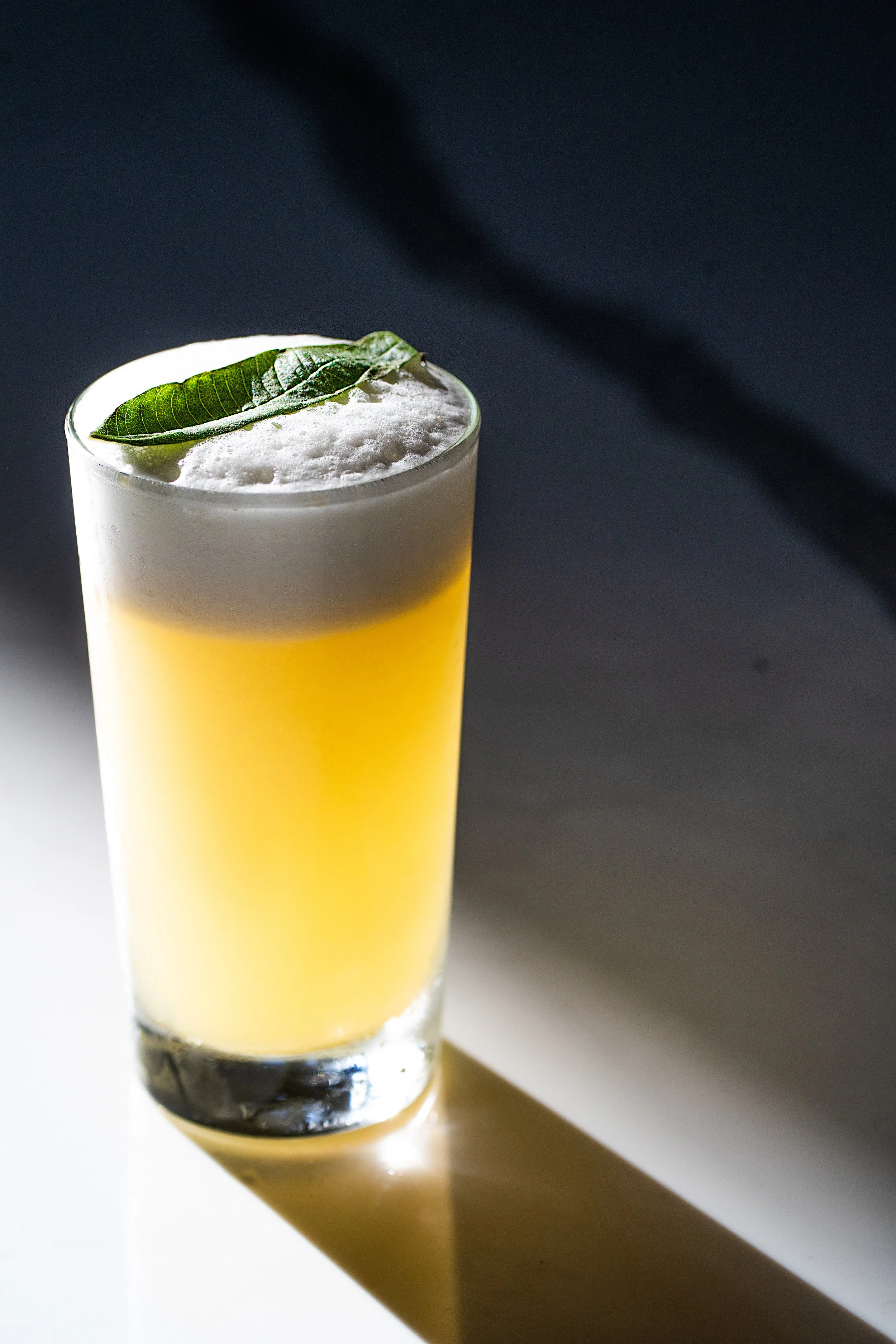 FizzFizz (1 of 1).jpg