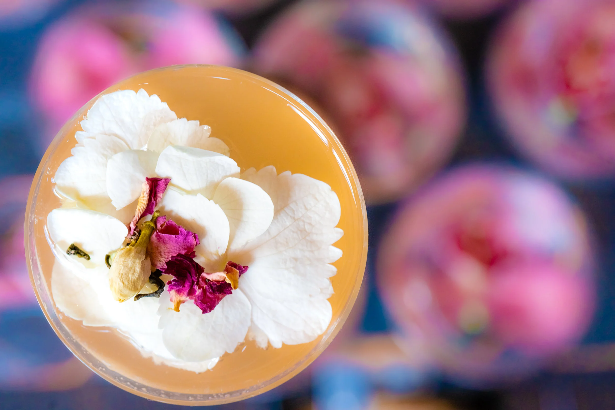 Cottura Catering Cocktails- (1).JPG