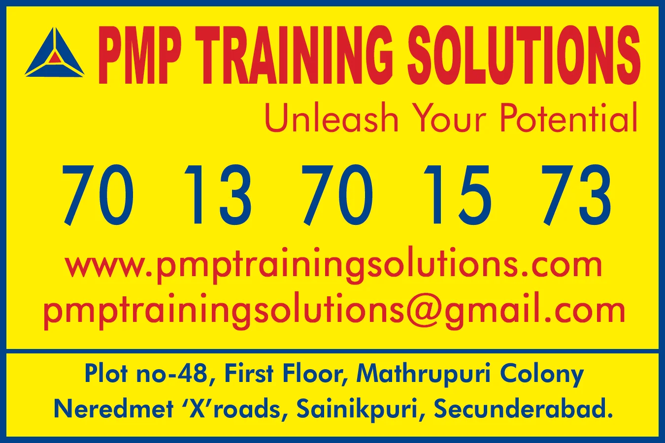 pmp training solutions....18 x 12..jpg