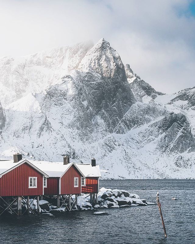 One of the basecamps for our upcoming winter and aurora photography workshops in arctic Lofoten 🇳🇴 www.lofotentours.com

#norway #artofvisuals #aov #wildernessculture
#passionforlife #discoverearth
,
,
#nakedplanet #tentree #theglobewanderer #ourpl