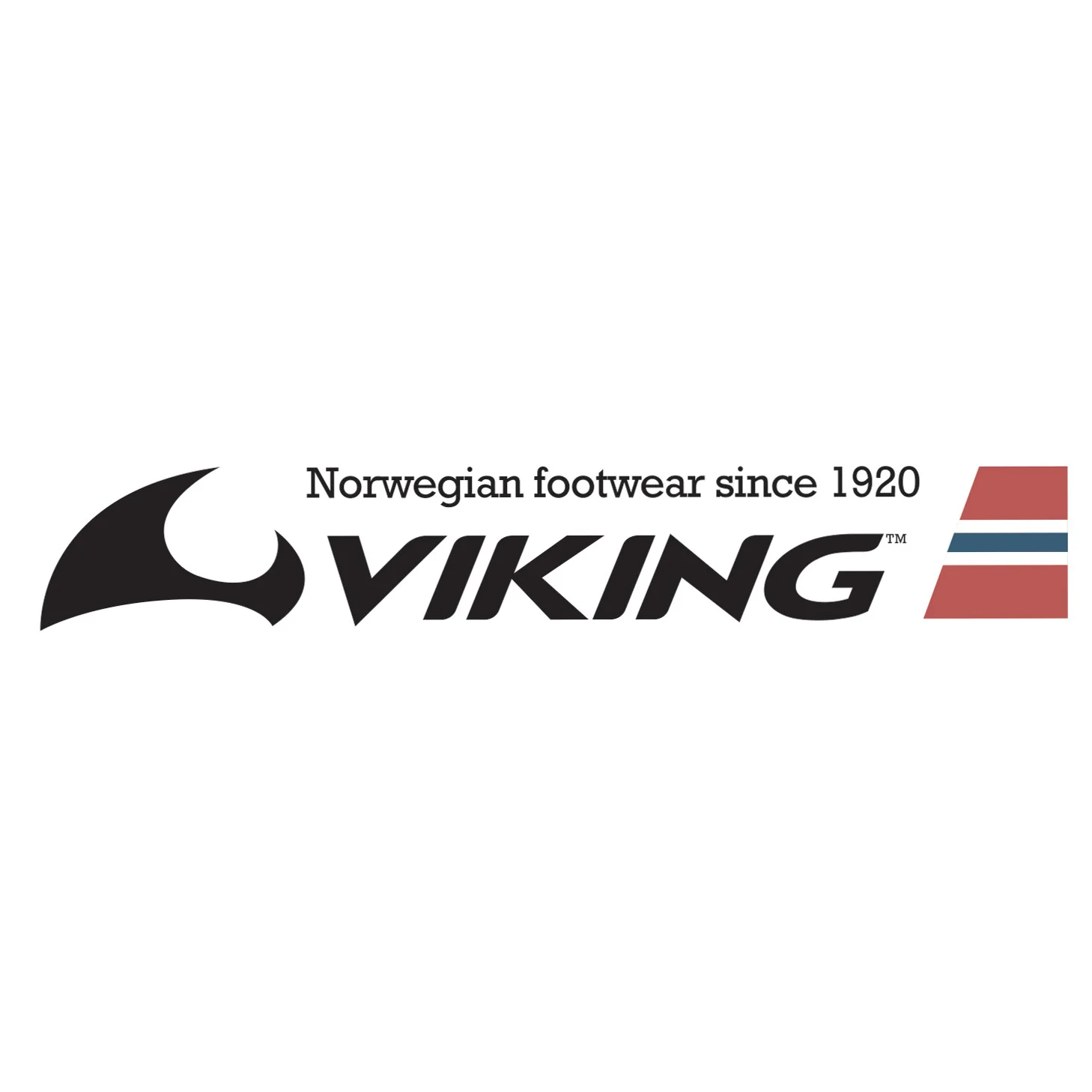 viking.jpg