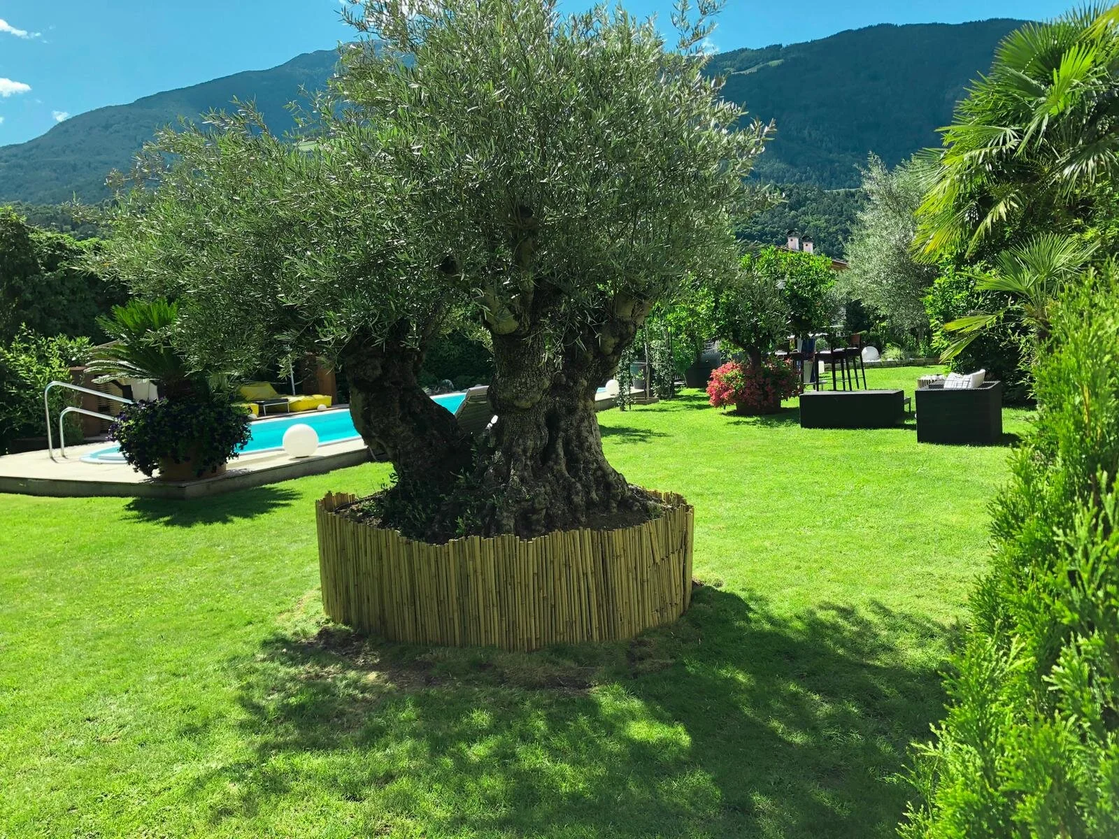 WhatsApp Image 2020-06-30 at 09.23.53.jpeg