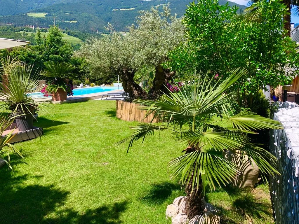 WhatsApp Image 2021-06-25 at 11.57.27.jpeg