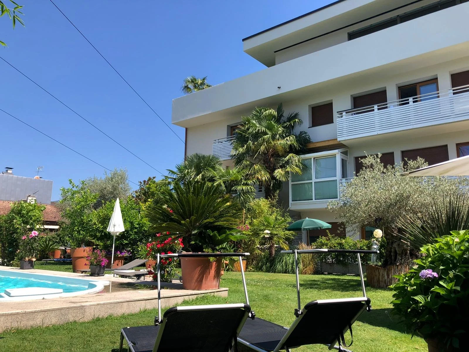 WhatsApp Image 2022-08-18 at 11.50.28 AM.jpeg