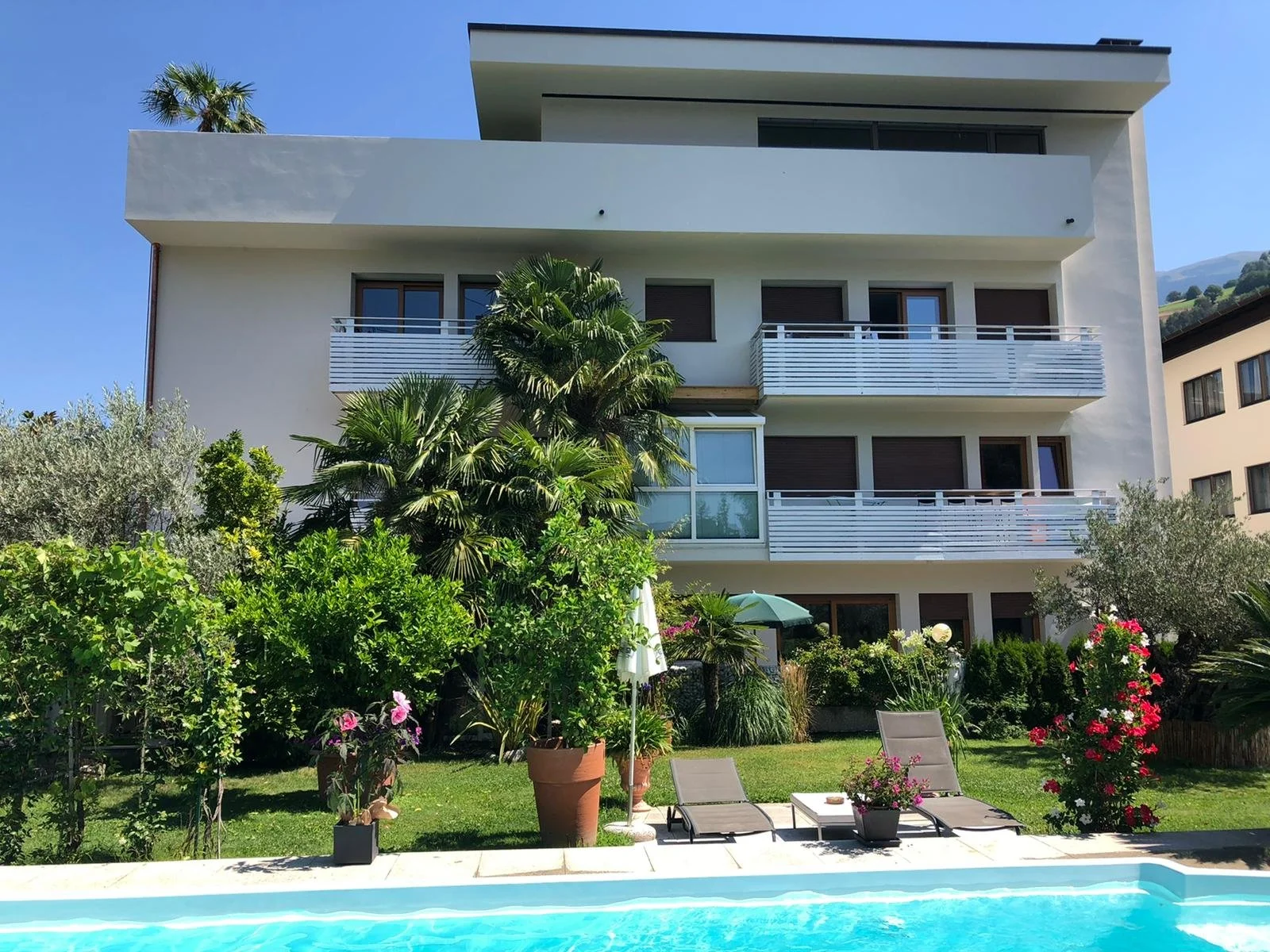 WhatsApp Image 2022-08-18 at 11.52.04 AM.jpeg