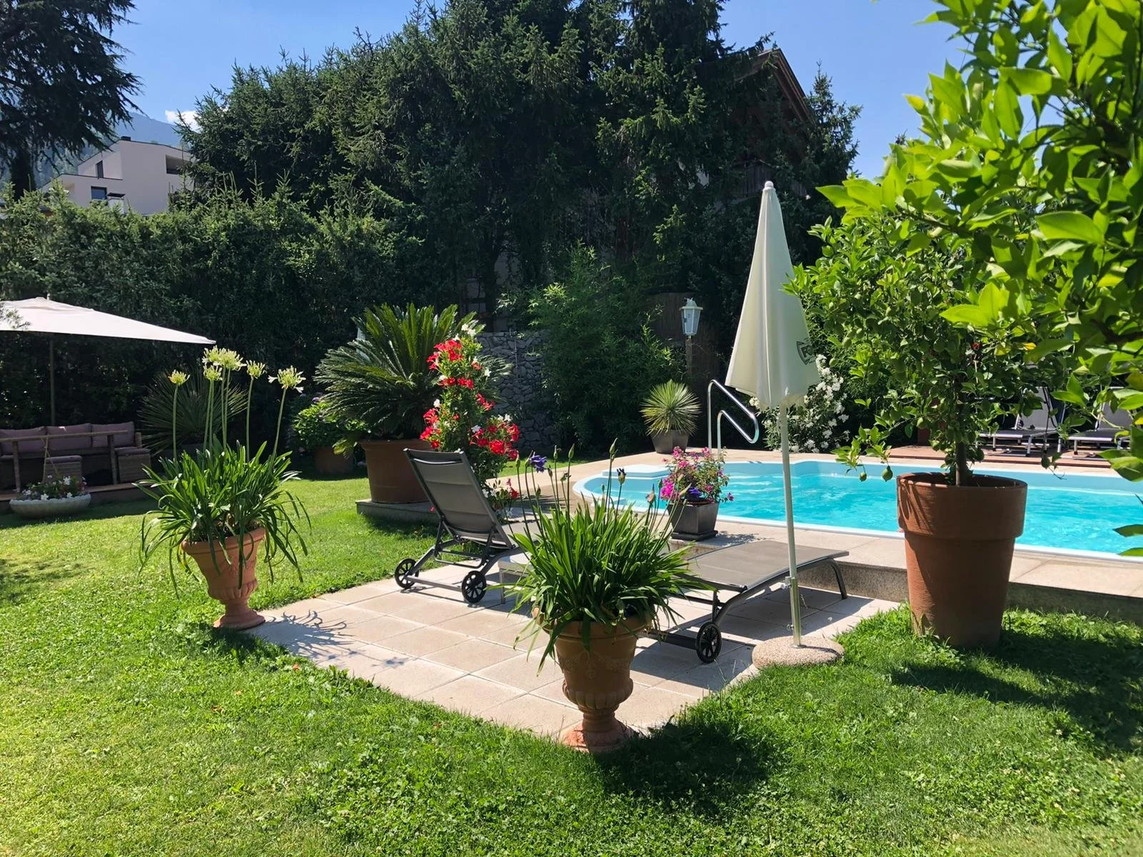 WhatsApp Image 2022-08-18 at 11.52.05 AM.jpeg