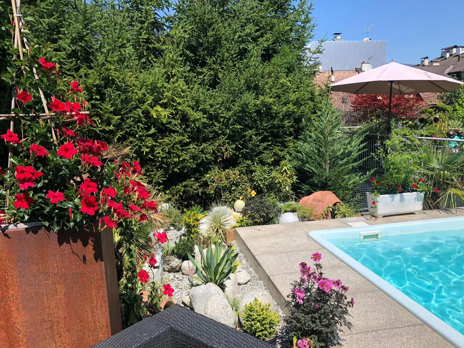 WhatsApp Image 2022-08-18 at 11.52.06 AM (1).jpeg