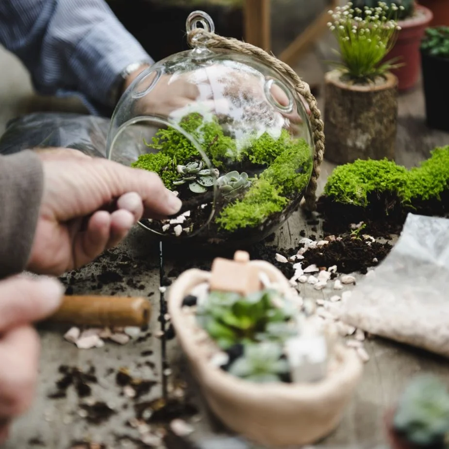 Terrarium.jpg