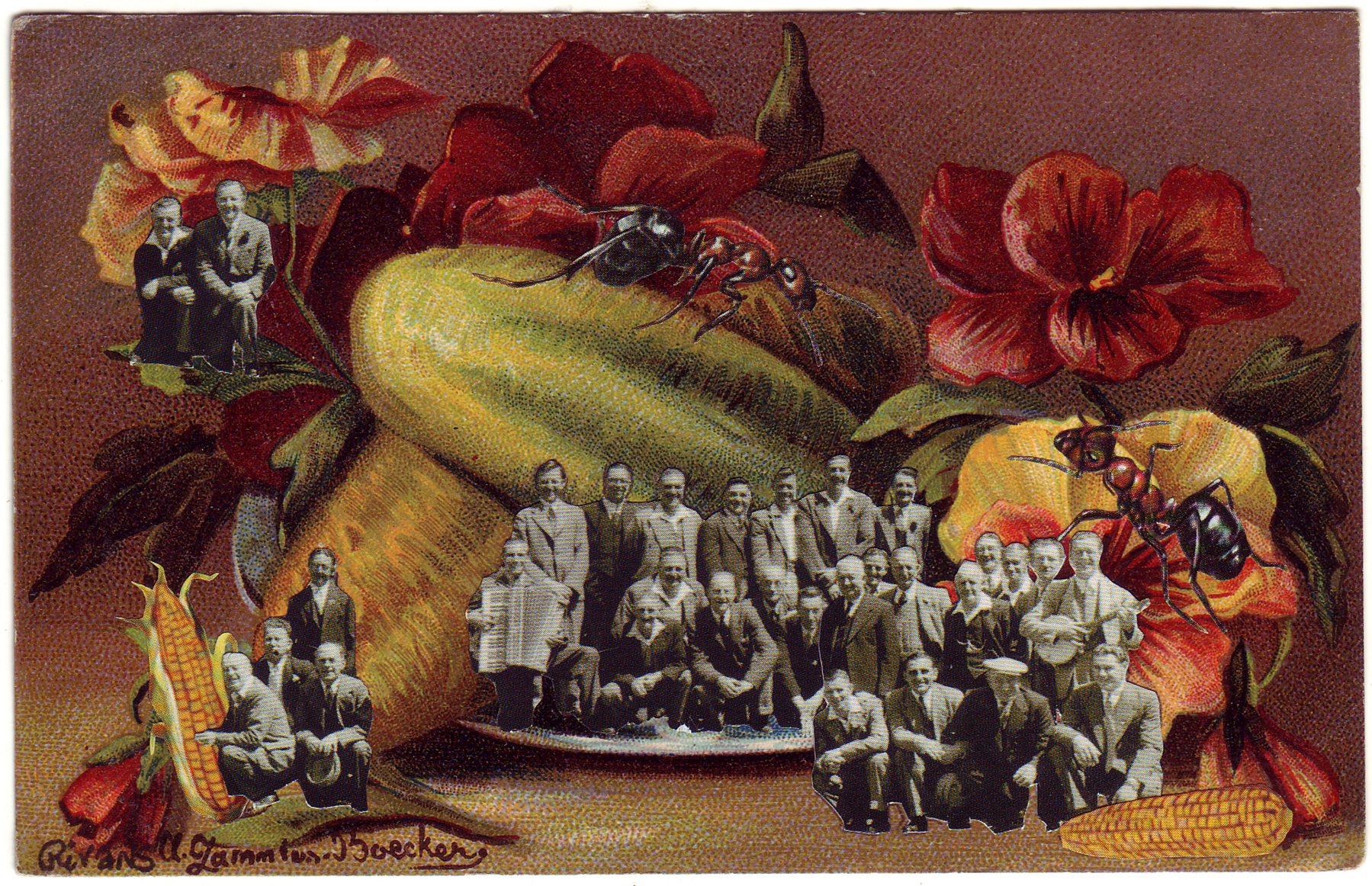 Giant Vegetable Society