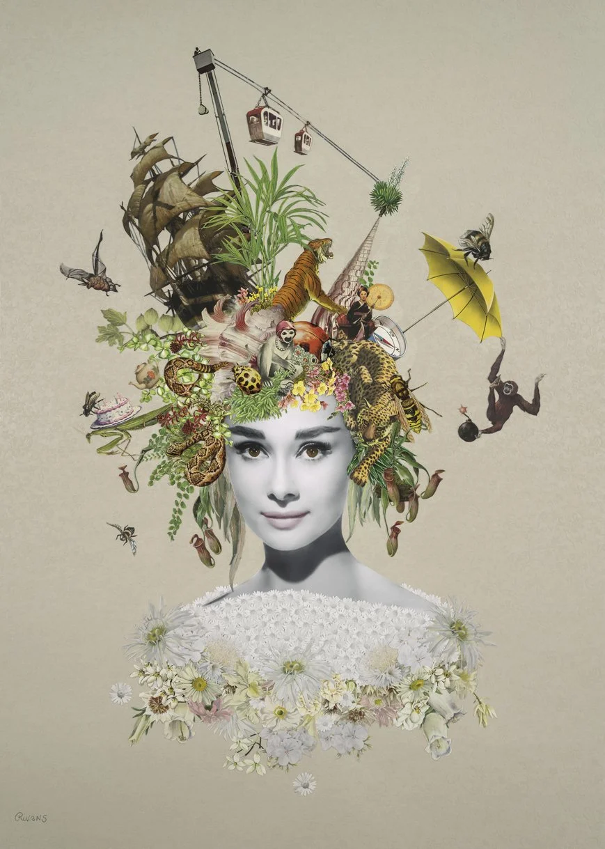 Commissions — Maria Rivans