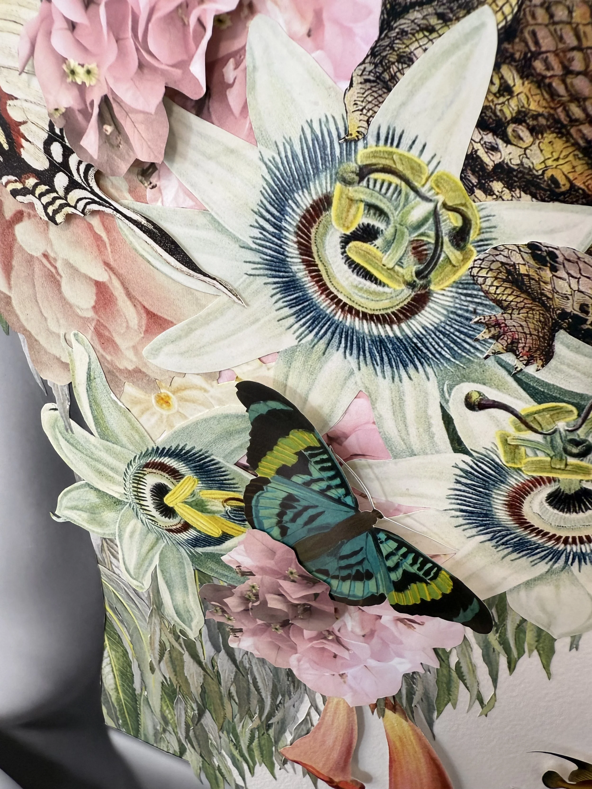 MAYA BUTTERFLY FLOWERS.jpeg