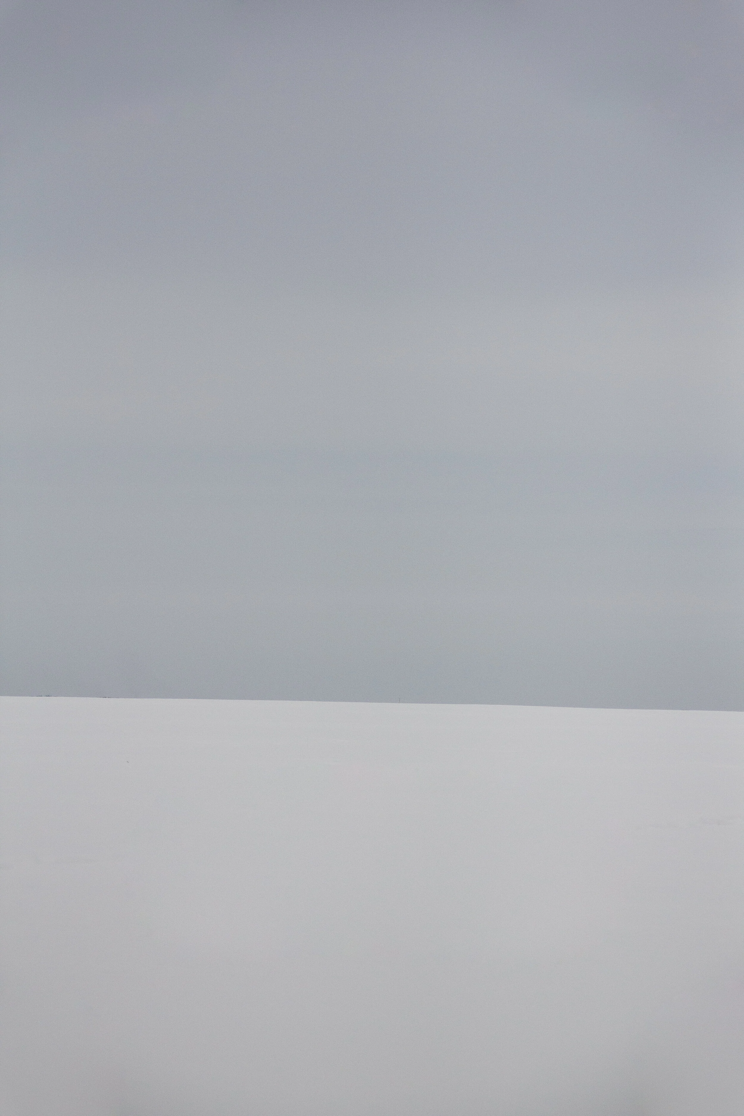 _MG_3608.jpg