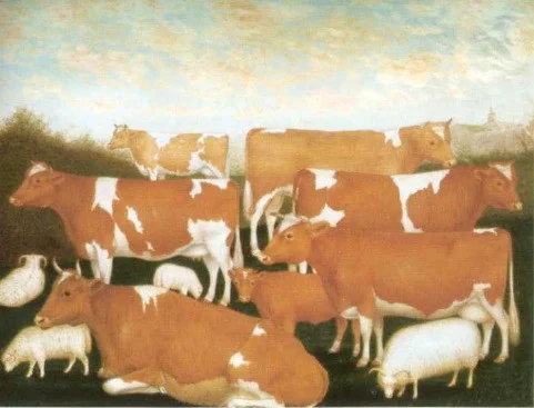 GUERNSEY CATTLE Circa 1850