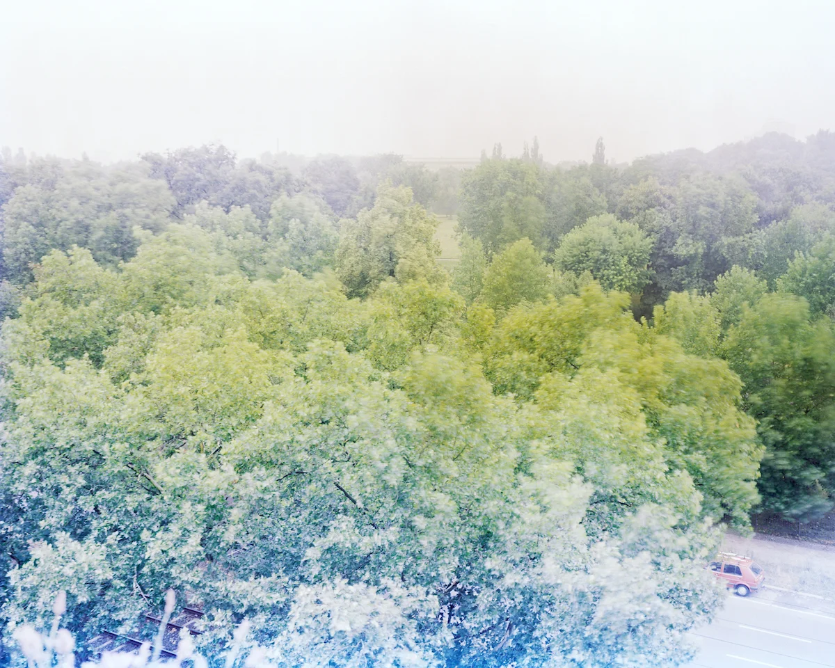 © Andrew Youngson