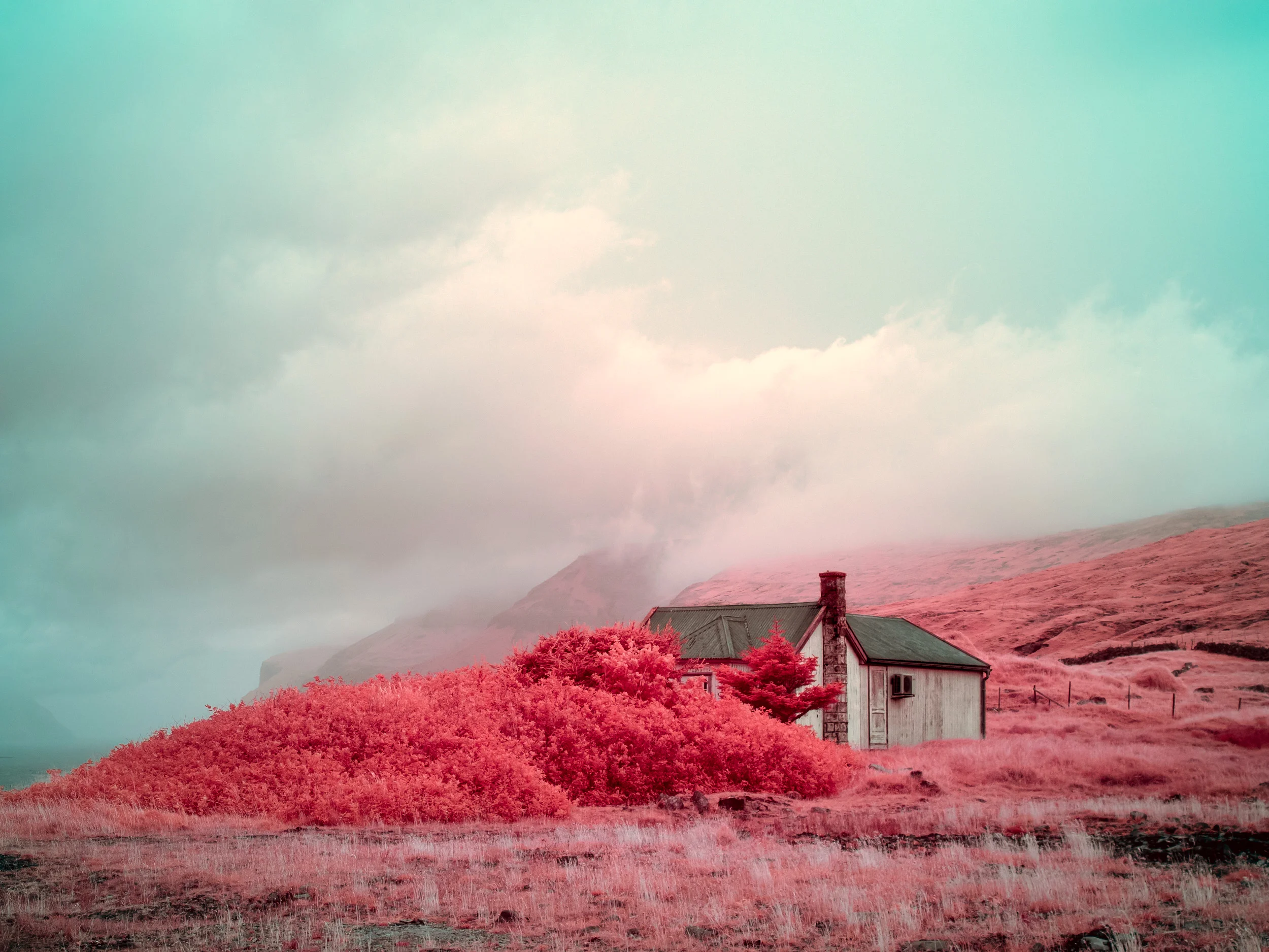© Gabrielle Motola