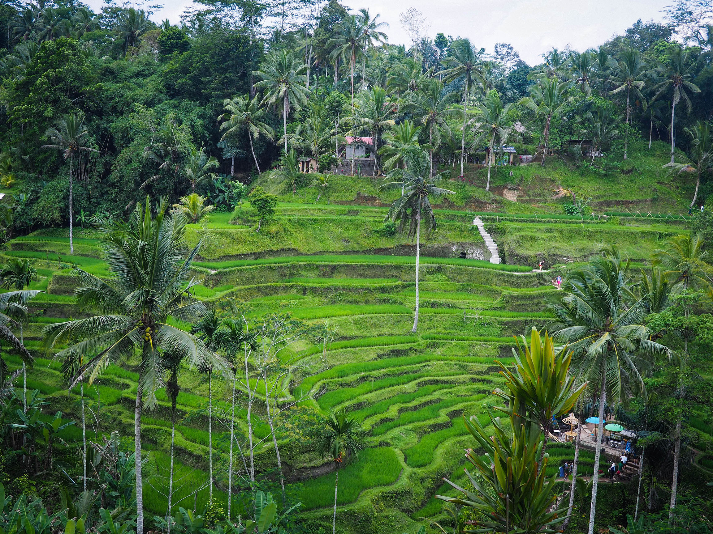 Bali