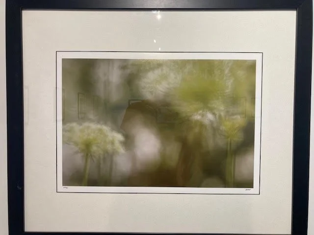 EWOLF Image 4.jpg