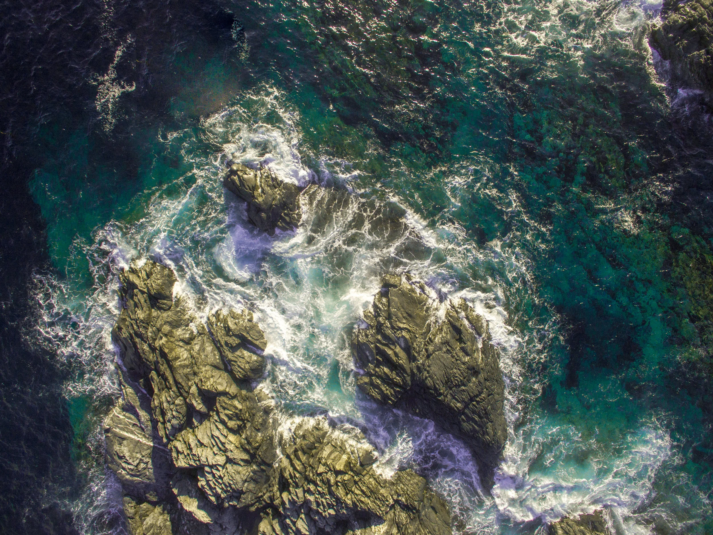 DJI_0009.jpg