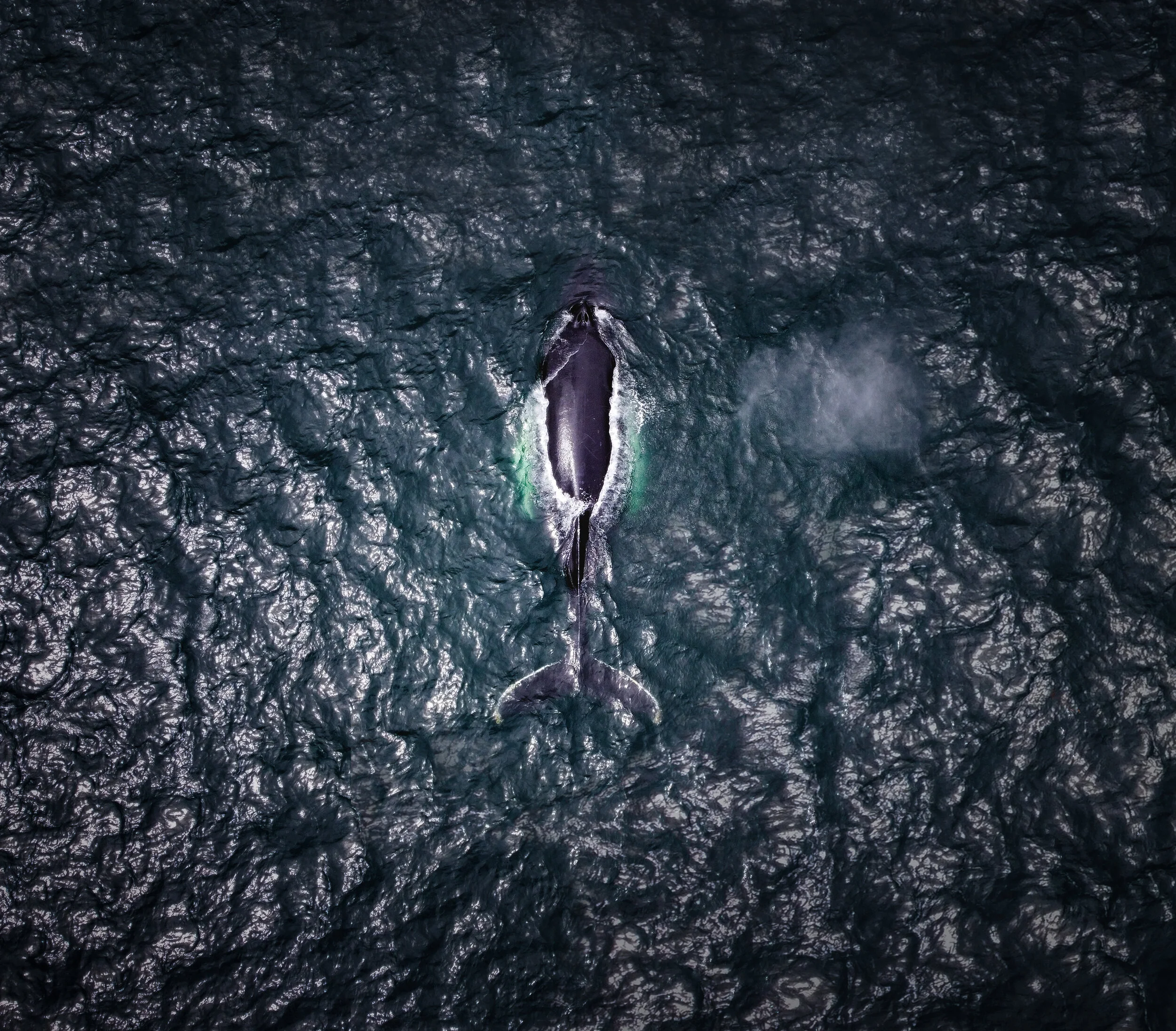 DJI_0370b.jpg