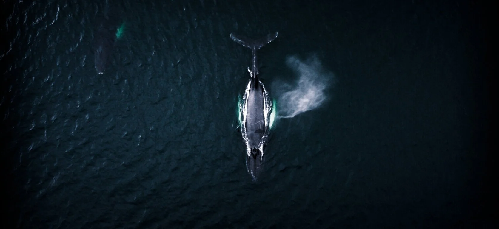 DJI_0525b.jpg