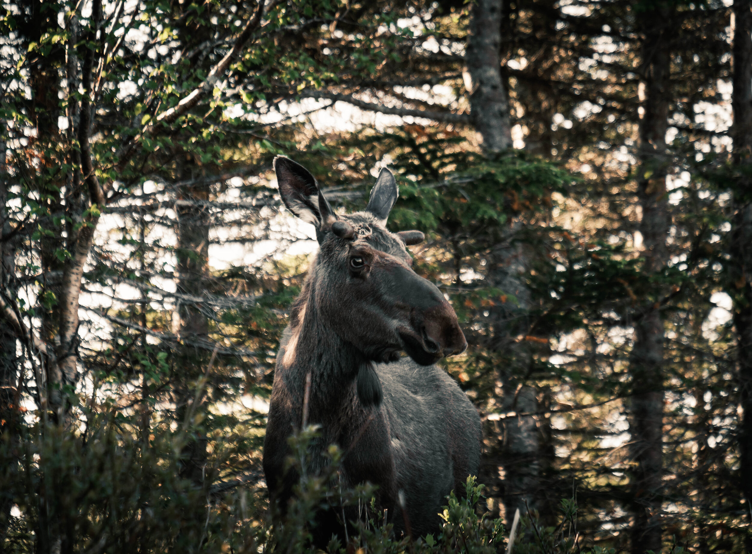 DSCF7584.jpg