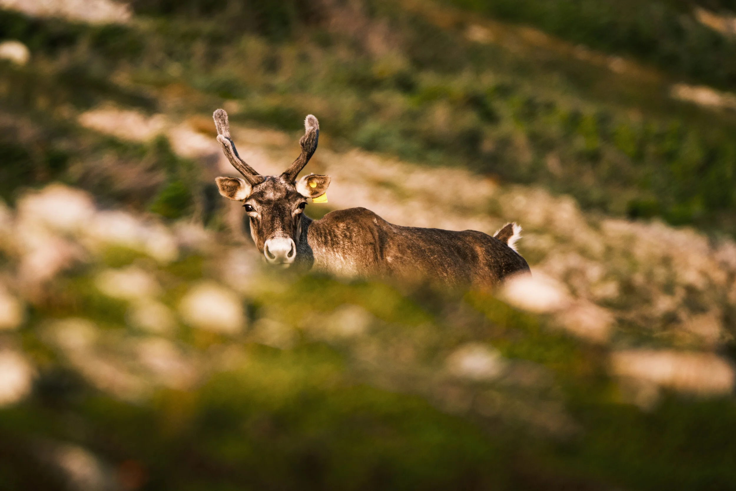 DSCF2942-IridientEdit.jpg
