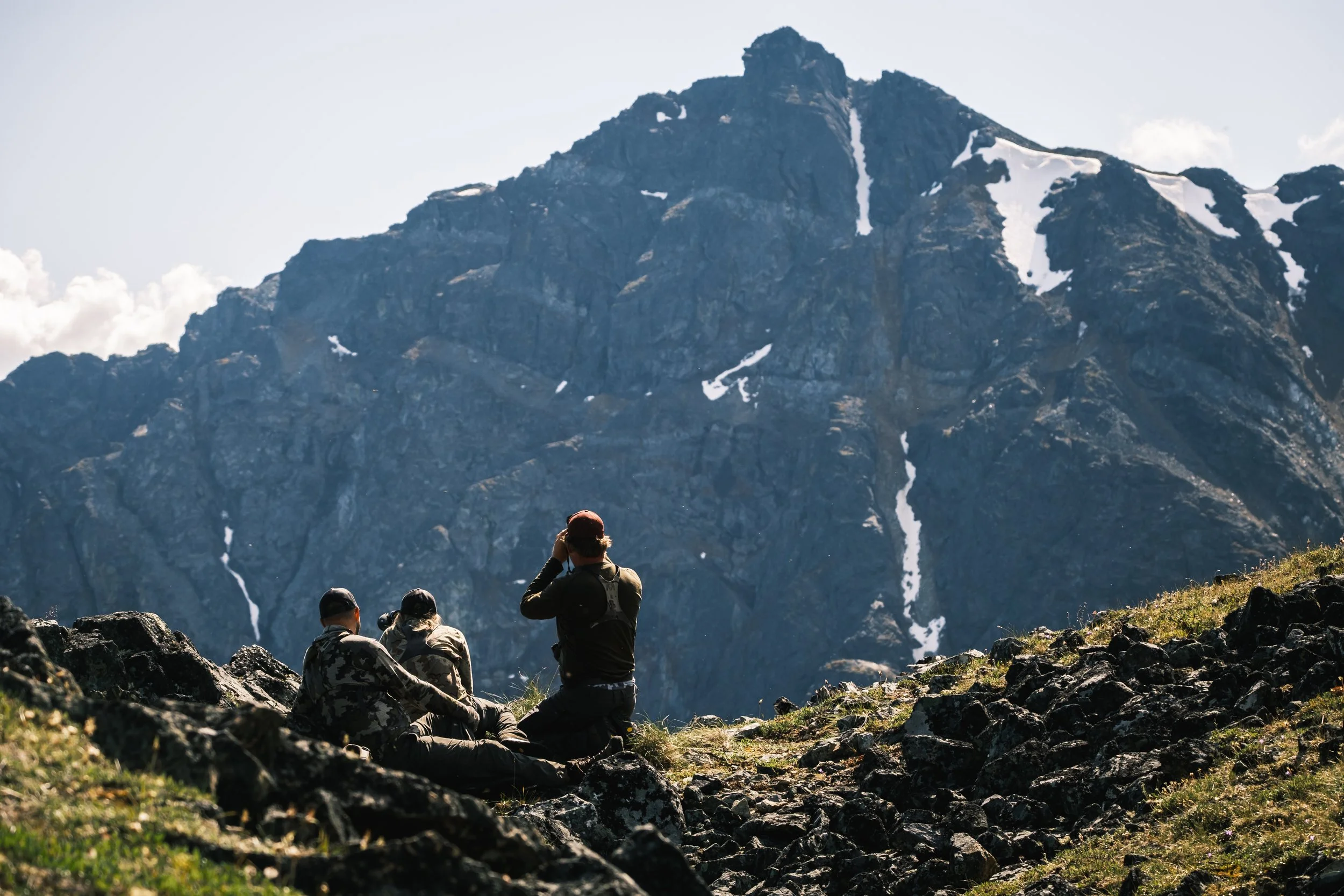 Yukon // Thin Horn Sheep - Photo Blog