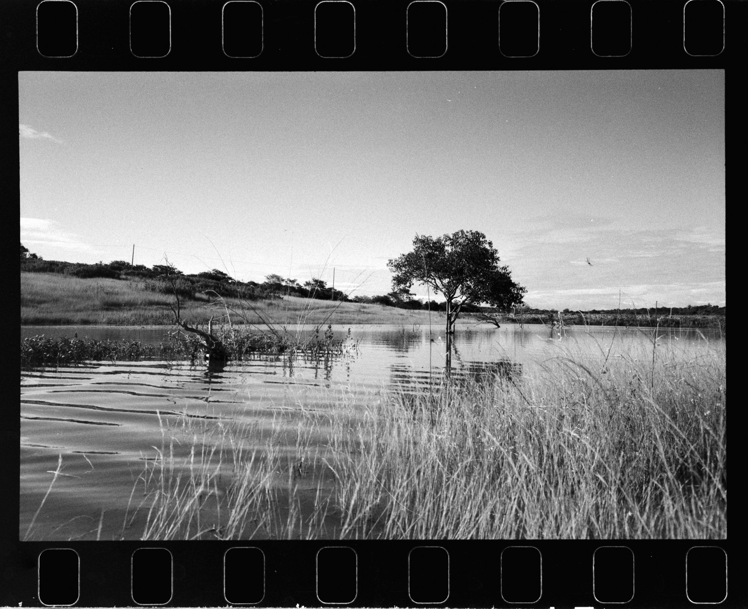 Untitled Session0092.jpg