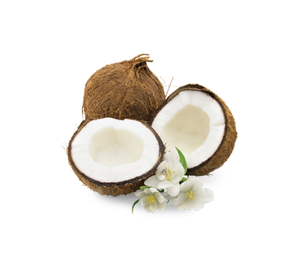 CoConut.png