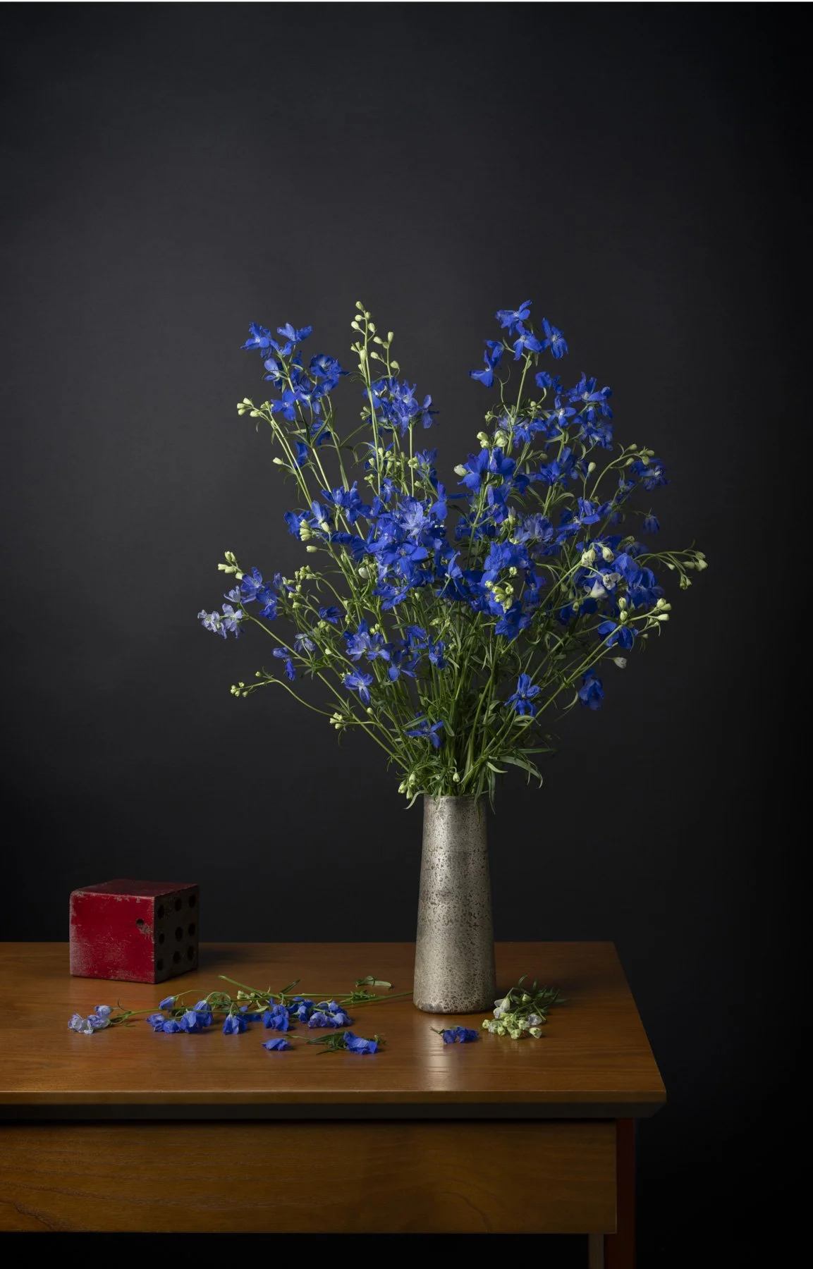 Blue Delphinium 0913-16_5x25_75.jpg