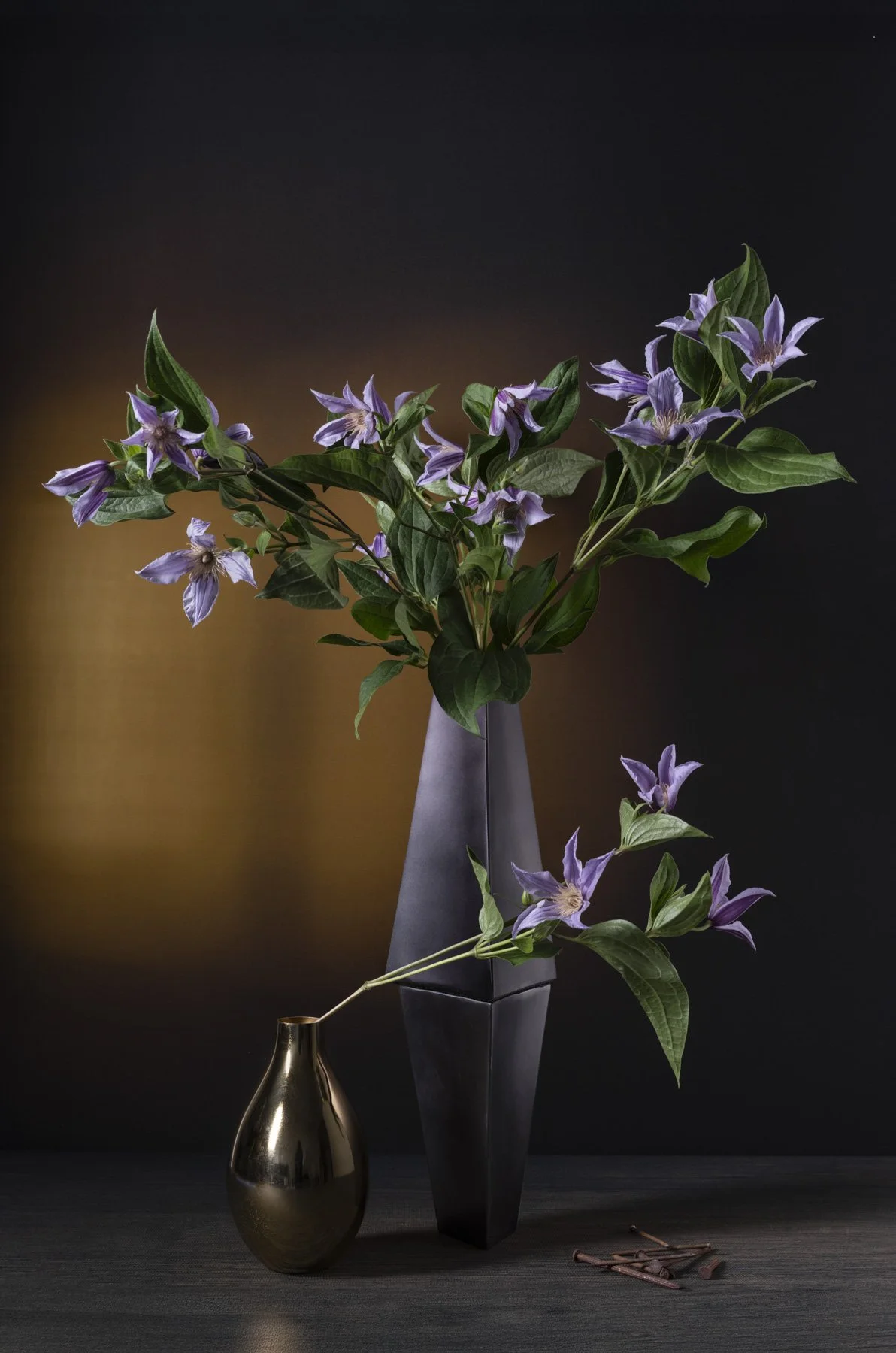 Clematis_20-19_5x29_5.jpg