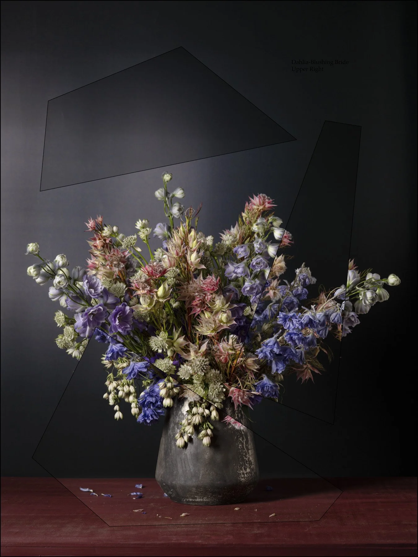 Delph_BB_Astr0472-Composite 24x32.jpg