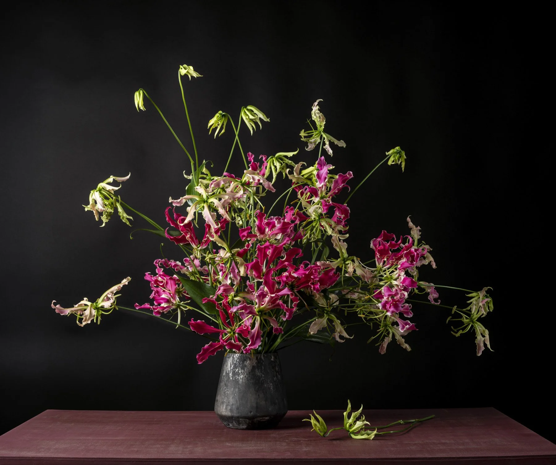 Gloriosa Lily 1436-21_5x18.jpg