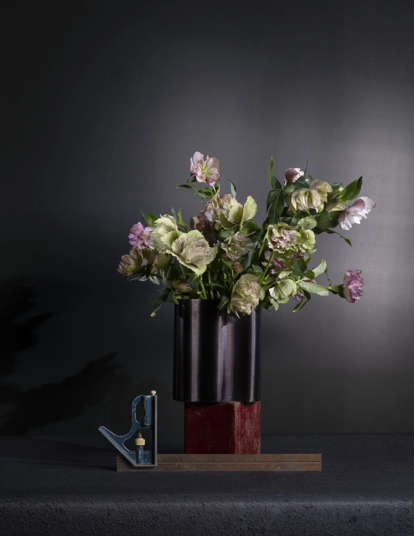 Helebores0528 23_75x30_75.jpg