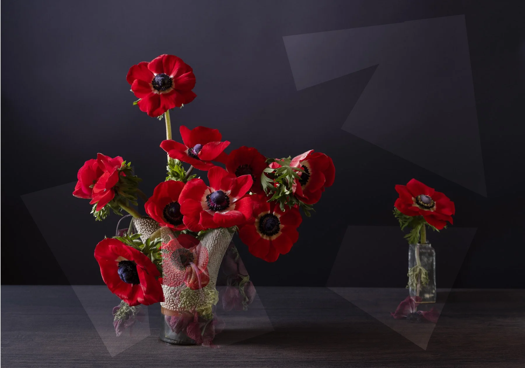 Red Anenomes -41 and 720_5x28_75.jpg