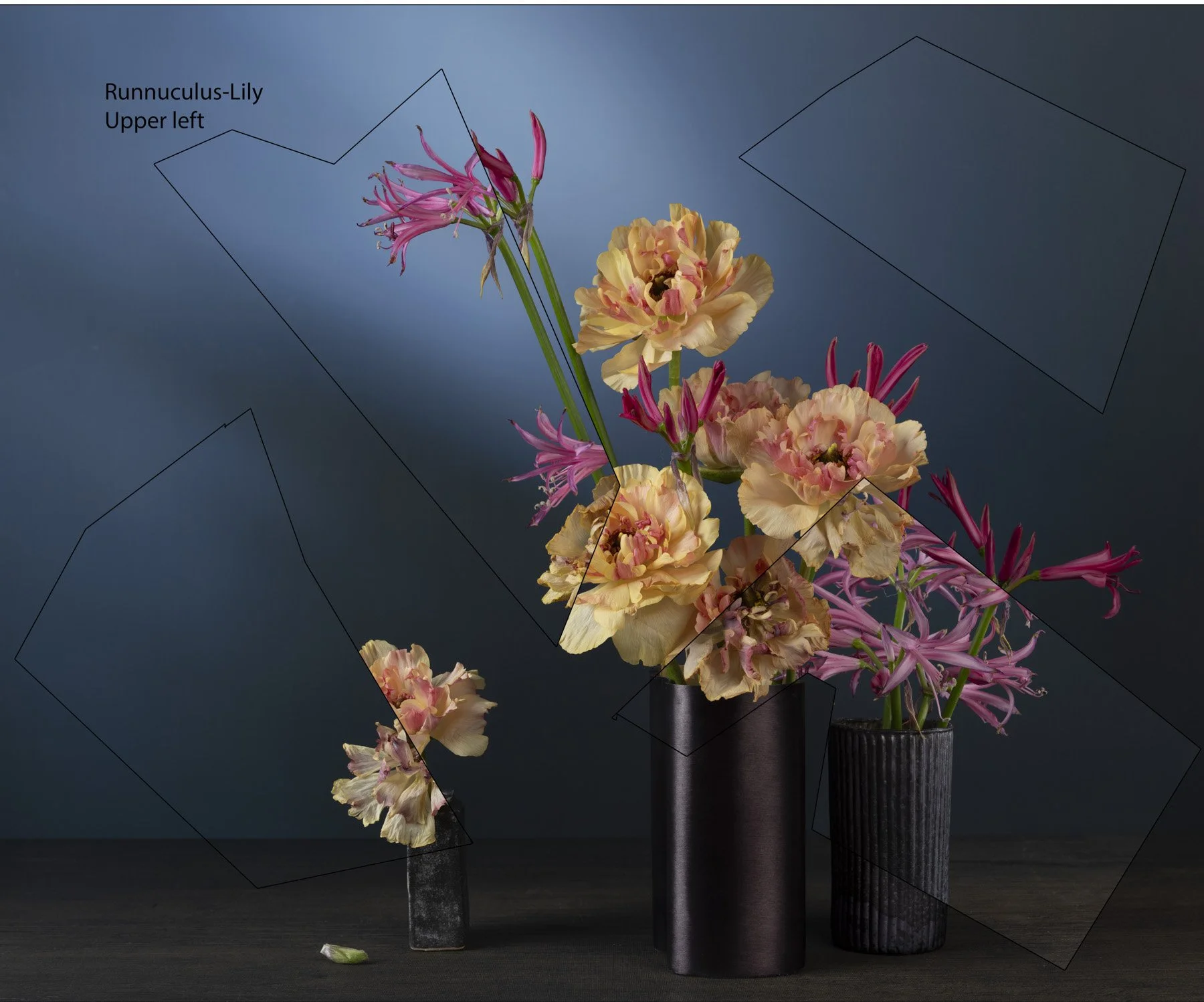 Runuculus_Nerine0838-21_625x18.jpg