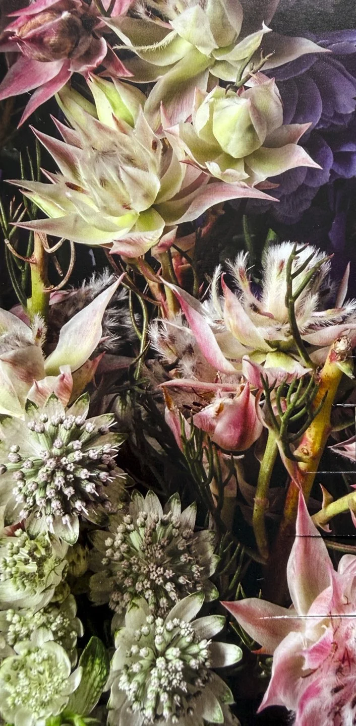  There is a Latin phrase you may know:  memento mori  — remember that you will die. This work asks you to hold its counterpart:  memento vivere  — remember to live.  Every still life here began with flowers at the peak of their beauty. Some are captu