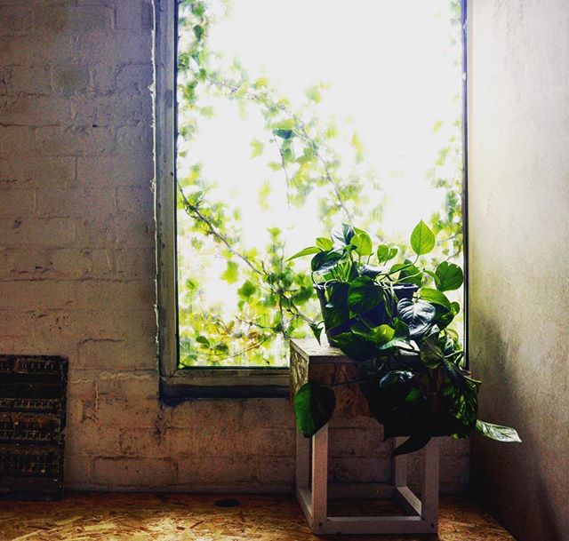 #roomwithaview #indooroutdoor building paradise #artiststudios #paradiseworks #salford #comingsoon