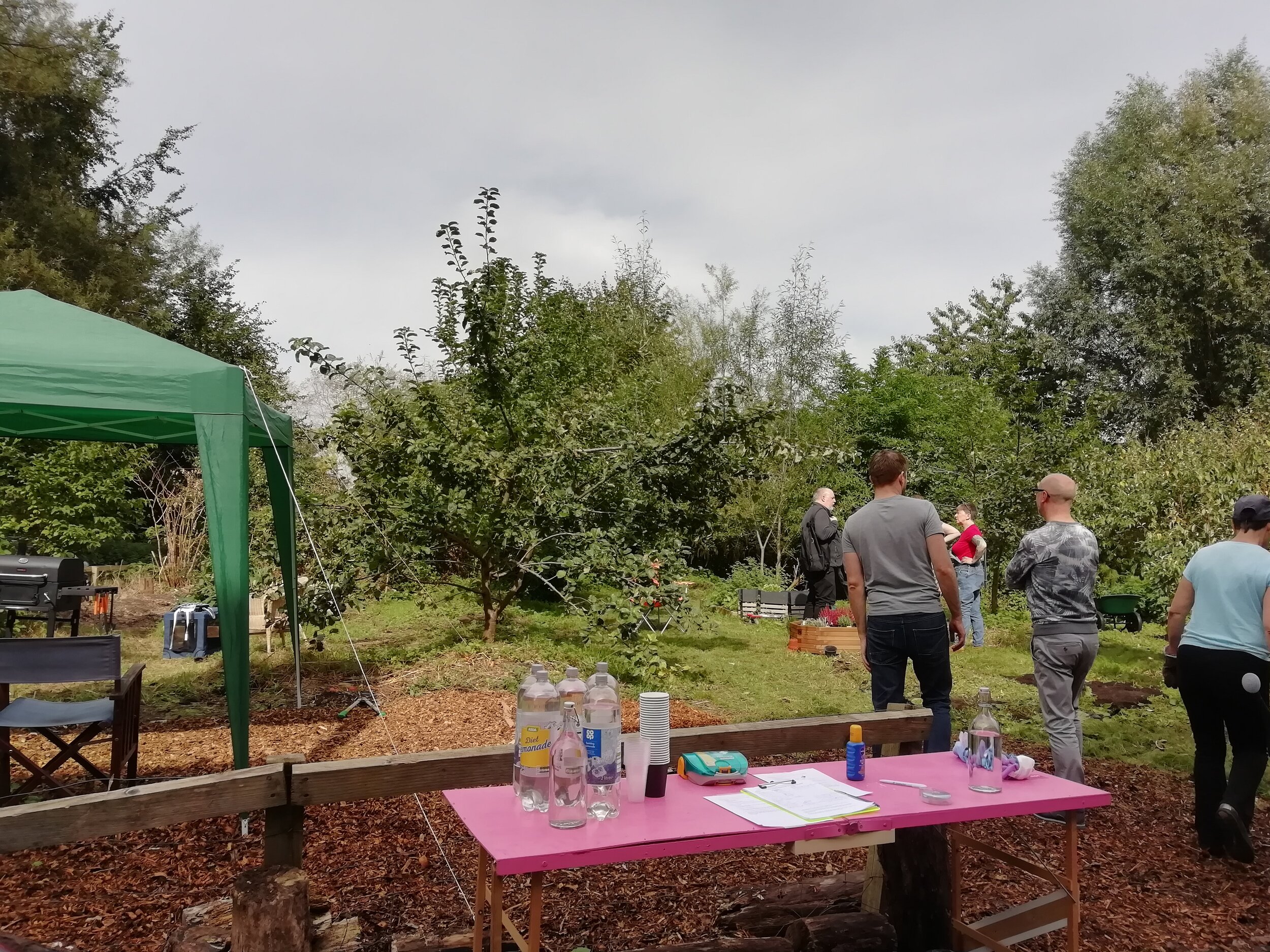 Bridgewater Community Garden Pruning Day, September 2019