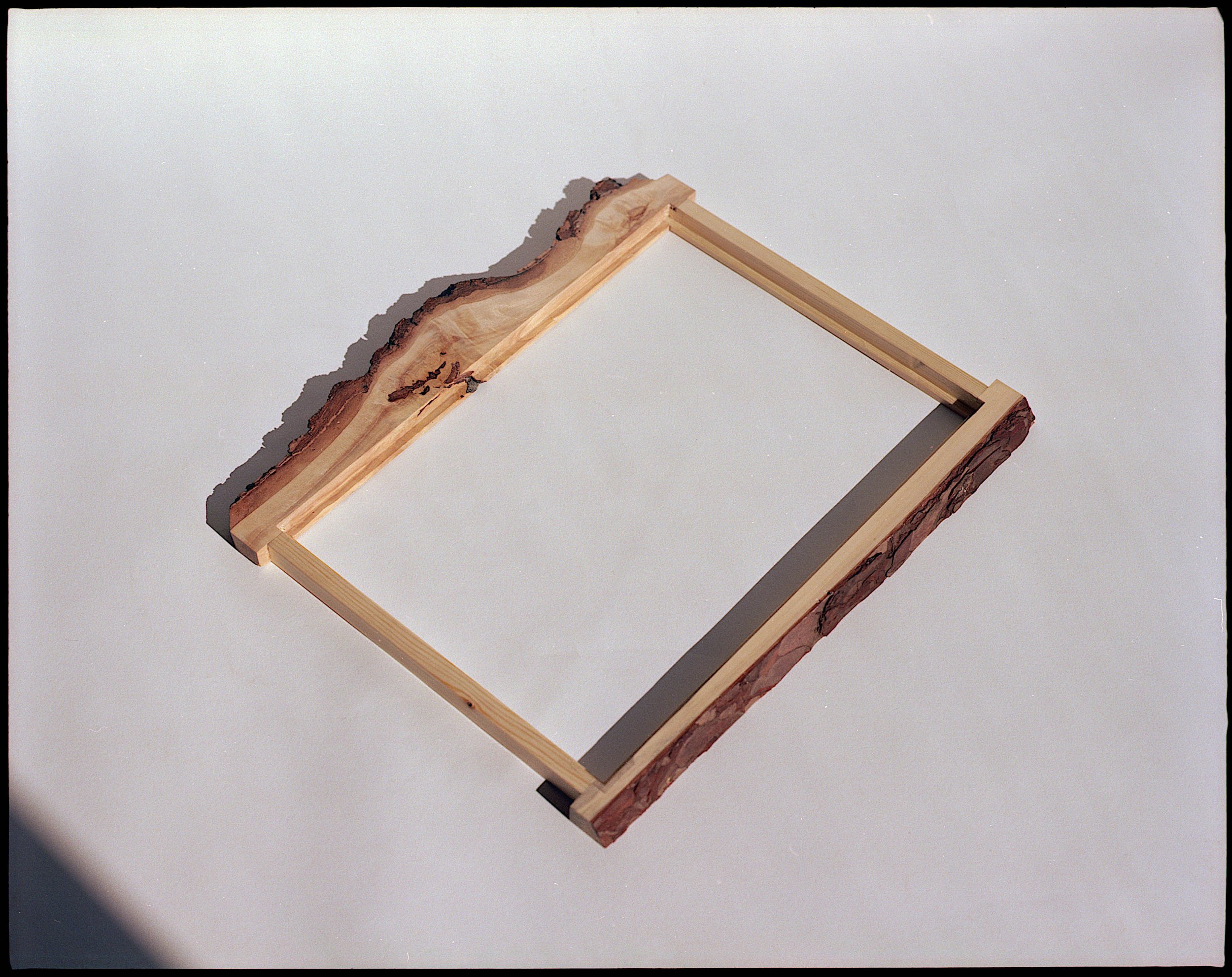 AlexMacdougall - Picture Frame.jpg