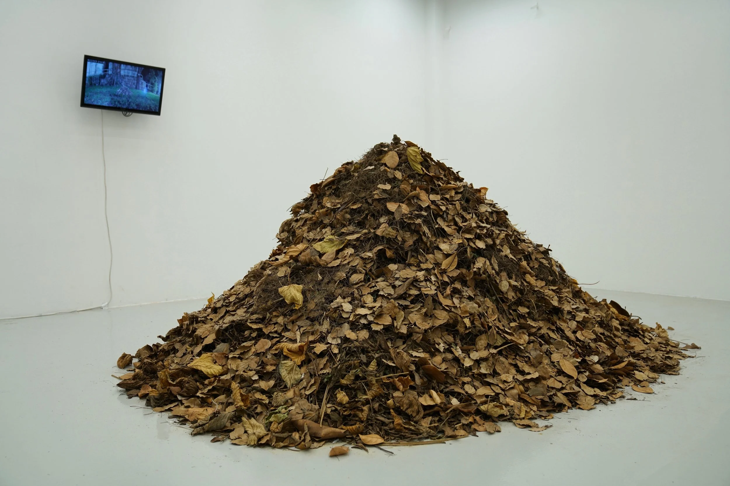 IMG_2181 - Sammy Lai.jpeg