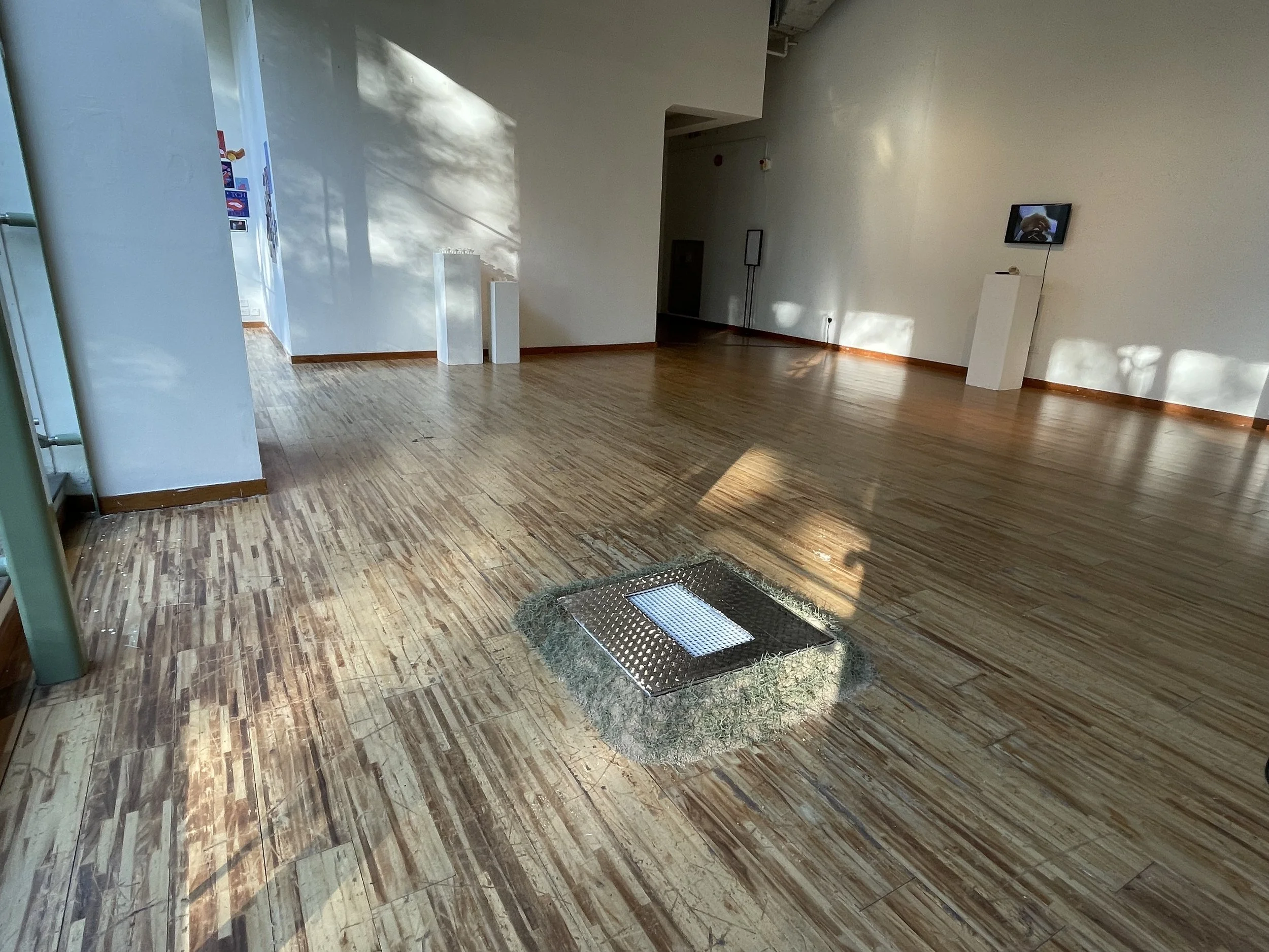 IMG_4209 - Sammy Lai.jpeg