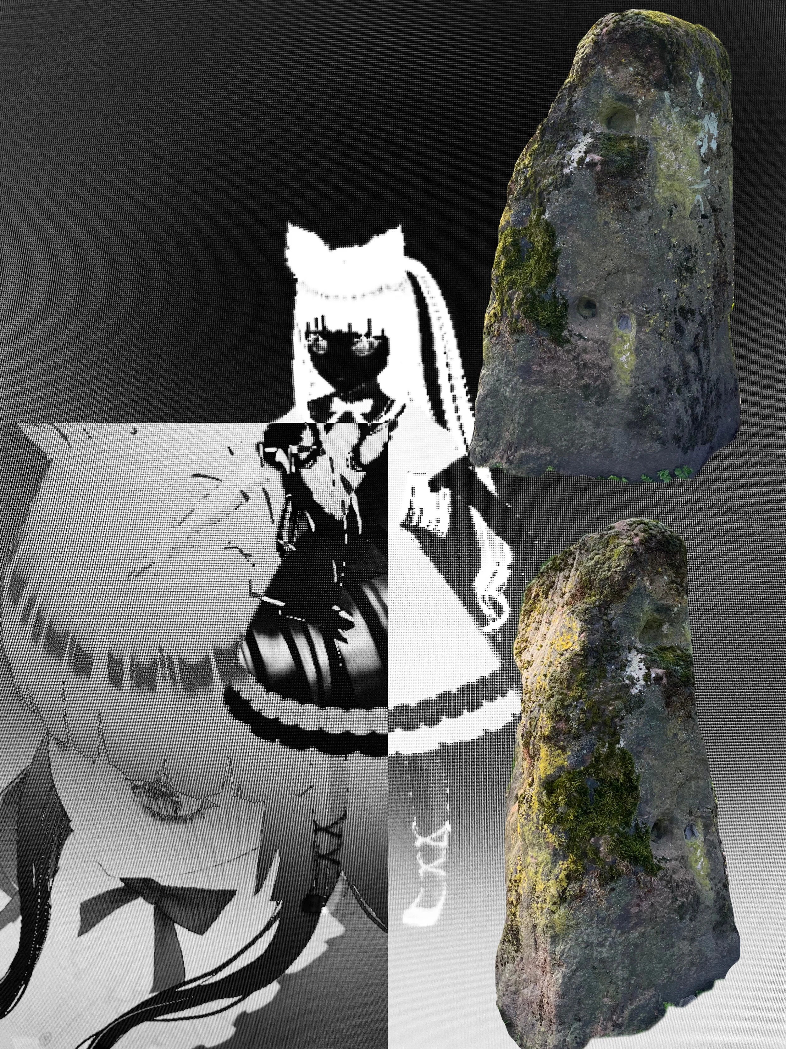 C94AD6BA-E419-4859-808F-86DF80A5D635 - Portia Wilkins.jpeg